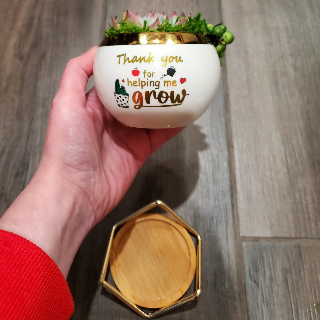 "Thank you for helping me grow" Succulent Gift Box